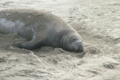 12_12_2005_1_47_43_PM_0118