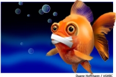 fishie