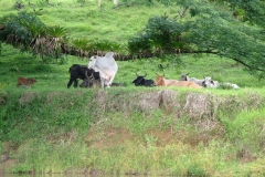 6_13_2006_9_26_17_AM_0141