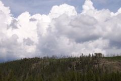 DCP_2525