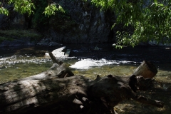DSC01357