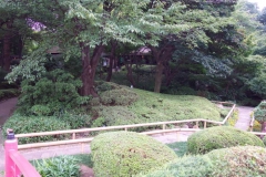 DCP_1828