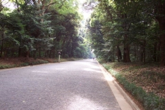 DCP_0980