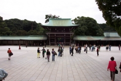 DCP_0987
