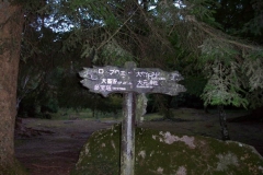 DCP_1533