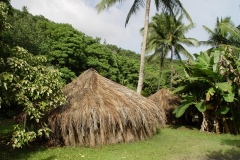 DSC02520