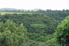 DSC02580