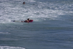 DSC03333