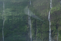 DSC03640