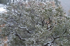 DSCF1099