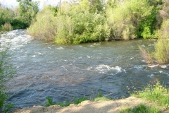 DSCF0155