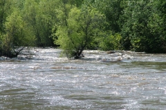 DSCF0164