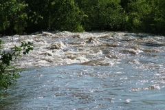 DSCF0176