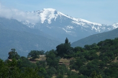 DSCF0195
