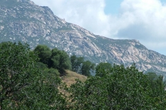 DSCF0197