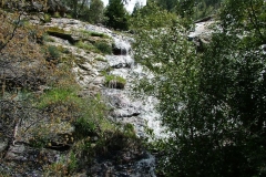 DSCF0218