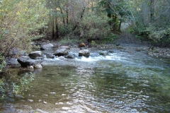 12_10_2005_1_05_05_PM_0077