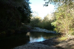 12_10_2005_1_05_14_PM_0078