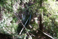 12_10_2005_1_30_07_PM_0081