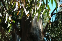 12_10_2005_2_08_11_PM_0086