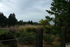 12_12_2005_11_19_03_AM_0100