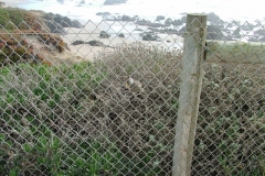 12_12_2005_1_40_17_PM_0101