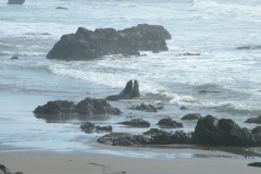 12_12_2005_1_42_03_PM_0106