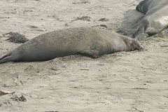 12_12_2005_1_44_24_PM_0111