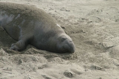 12_12_2005_1_46_07_PM_0115