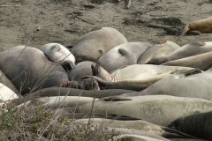 12_12_2005_1_46_29_PM_0116