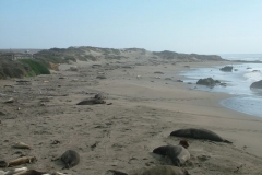 12_12_2005_1_46_58_PM_0117