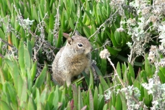 12_12_2005_1_59_58_PM_0124