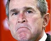 bushfrown