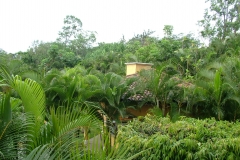 6_10_2006_6_36_04_AM_0012