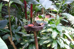 6_11_2006_11_23_55_AM_0057