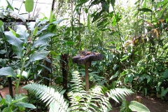 6_11_2006_11_24_00_AM_0058