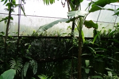 6_11_2006_11_24_35_AM_0059