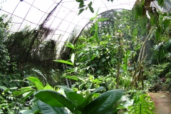 6_11_2006_11_25_52_AM_0060