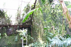 6_11_2006_11_26_29_AM_0061