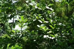 6_11_2006_11_42_27_AM_0072