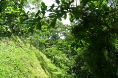 6_11_2006_11_43_02_AM_0073