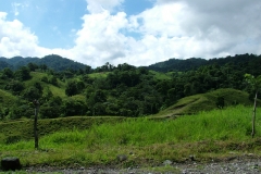 6_11_2006_8_13_32_AM_0044