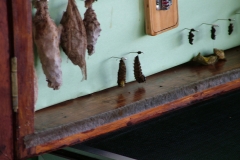 6_11_2006_8_20_47_AM_0046