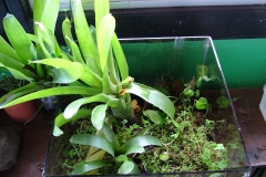 6_11_2006_8_26_19_AM_0050