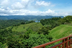 6_12_2006_10_03_42_AM_0106