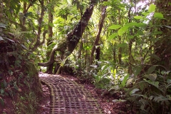 6_12_2006_7_49_30_AM_0029