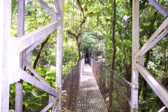 6_12_2006_7_54_53_AM_0030