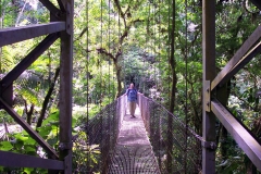 6_12_2006_7_55_20_AM_0031