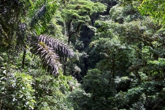 6_12_2006_8_11_38_AM_0033