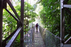 6_12_2006_8_23_31_AM_0036